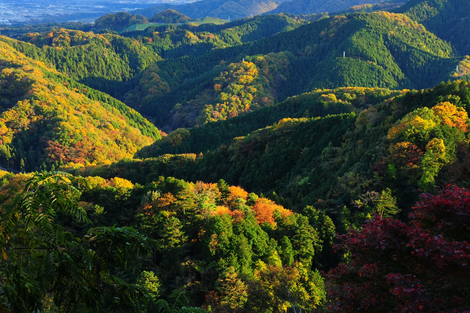 八王子の秋の夕方の風景