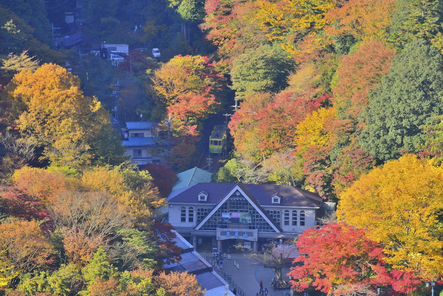 紅葉に染まる高尾山